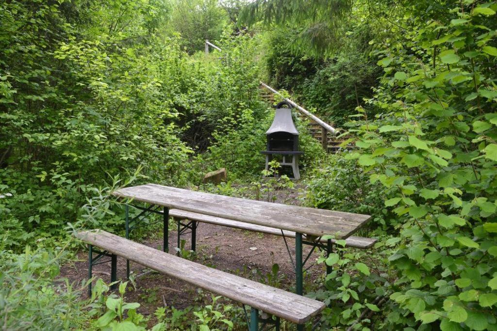 Apartament Homole E1 Z Ogrodkiem Szczawnica Esterno foto